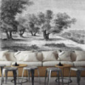 Panoramique Gravure - Les Oliviers - Noir & Blanc