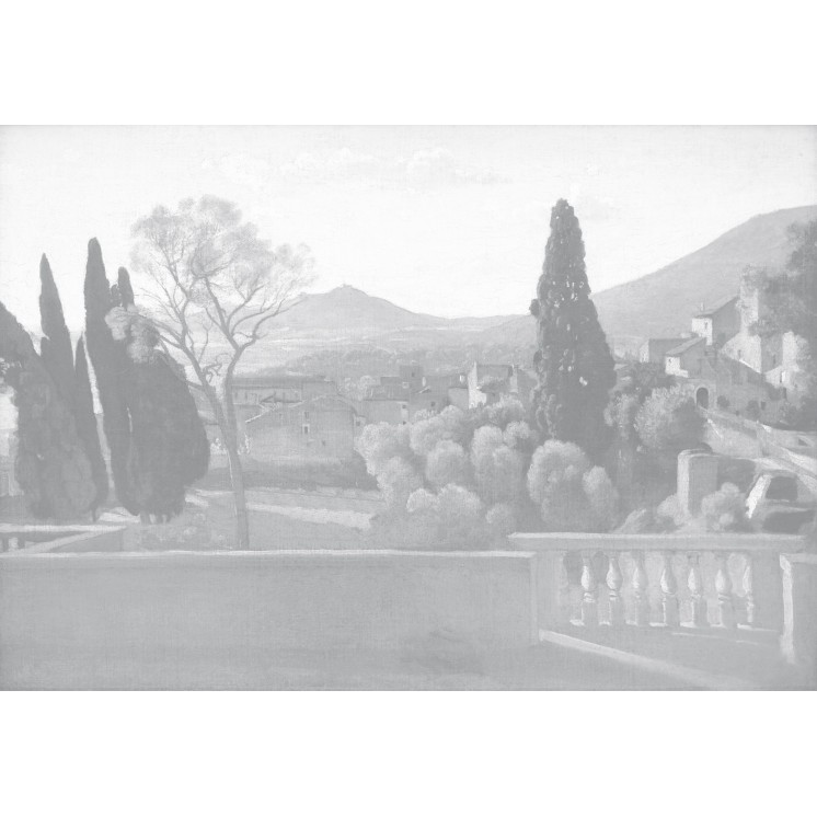 Papier Peint Panoramique Jardin Suspendu - Grisaille – Ciment Factory