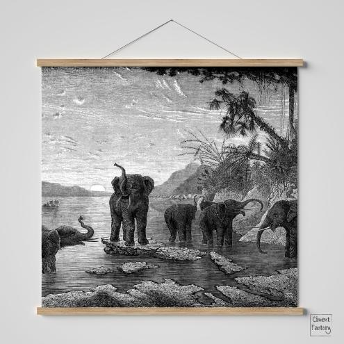 Affiche Gravure - Les Eléphants
