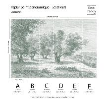 Papier Peint Panoramique Gravure - Les Oliviers - Vert Lichen