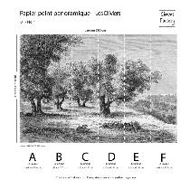 Papier Peint Panoramique Gravure - Les Oliviers